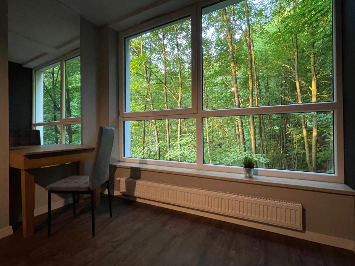 Apartament Kurort Kozubnik - Taras Nad Potokiem Porąbka 외부 사진
