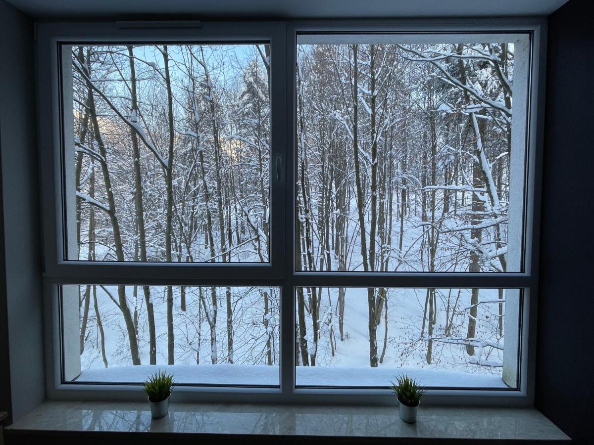 Apartament Kurort Kozubnik - Taras Nad Potokiem Porąbka 외부 사진