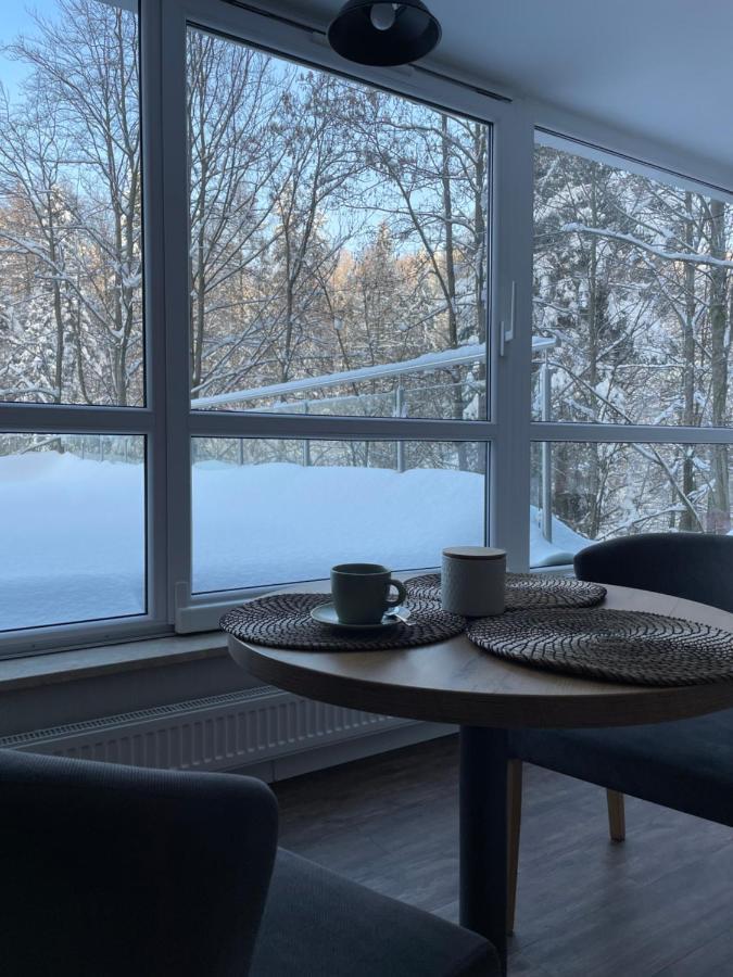 Apartament Kurort Kozubnik - Taras Nad Potokiem Porąbka 외부 사진